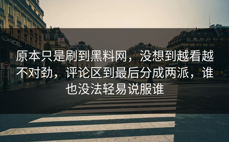 原本只是刷到黑料网，没想到越看越不对劲，评论区到最后分成两派，谁也没法轻易说服谁